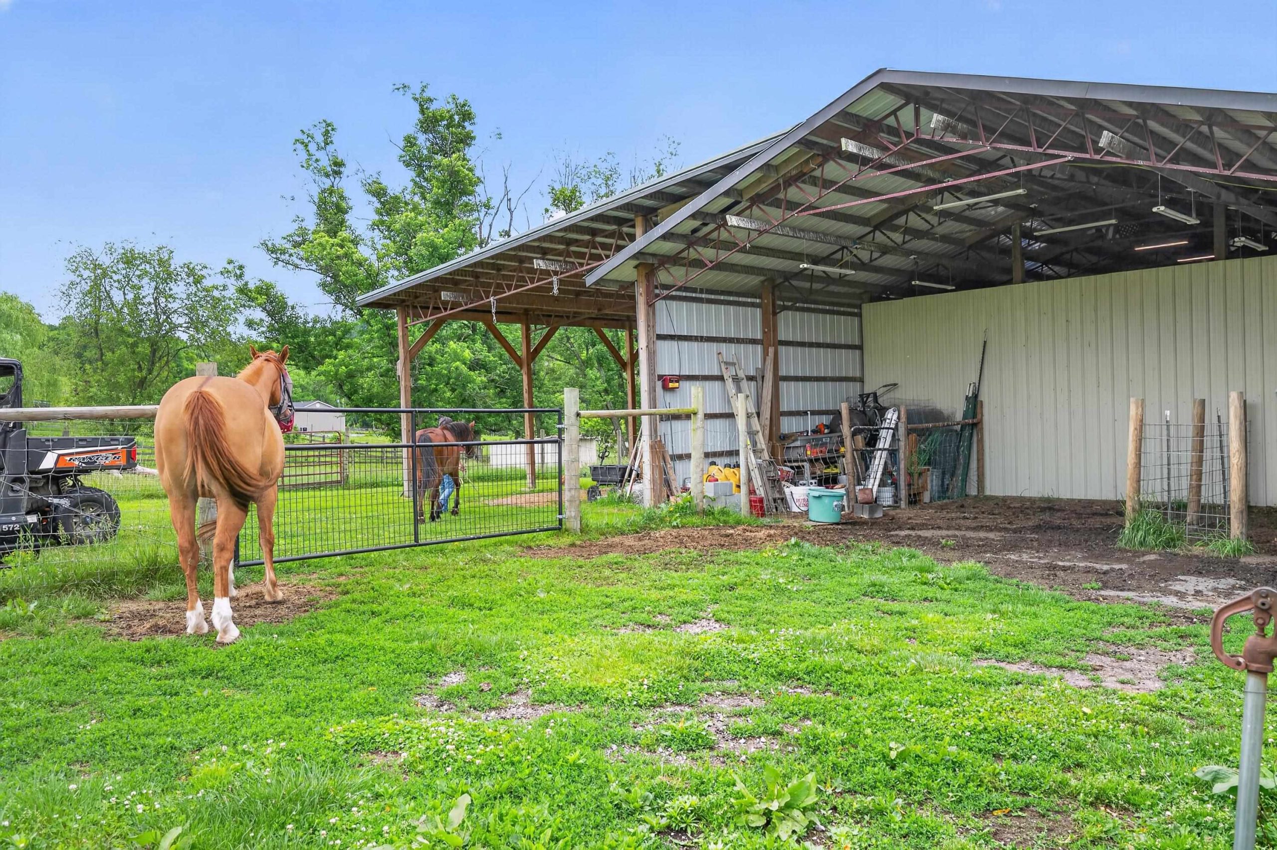 A horse faces its mate across a fence line.