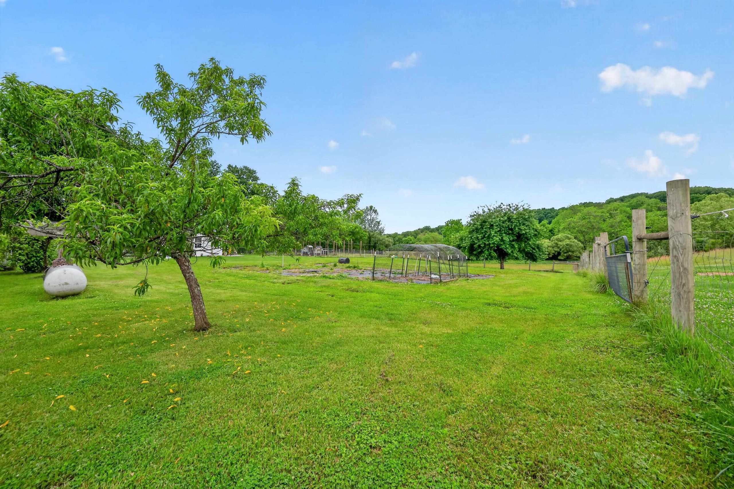 Garden space in a gated field.